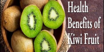 ಕಿವಿ ಫ್ರೂಟ್ ಎಂಥ ಆರೋಗ್ಯಕರ ಹಣ್ಣು ಗೊತ್ತಾ..? ಆ ಬಗ್ಗೆ ಮಾಹಿತಿ ಇಲ್ಲಿದೆ ನೋಡಿ