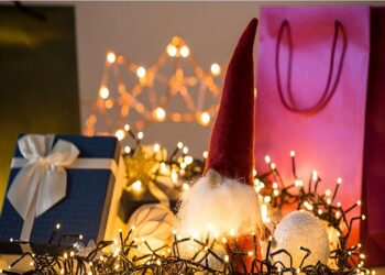 Deepavali Special Story: ಈ ಬಾರಿ ಹಬ್ಬಕ್ಕೆ ಬಳಕೆಯಾಗಬಹುದಾದ ತರಹೇವಾರಿ Gadgets ಪರಿಚಯ